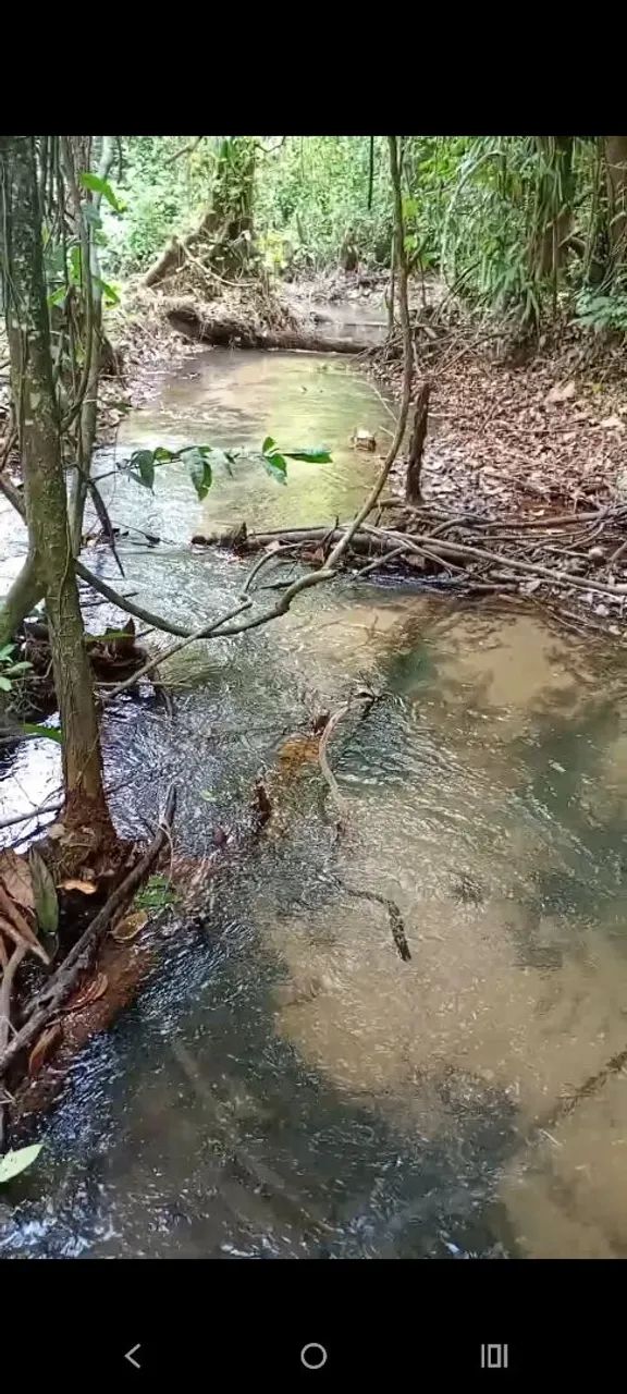 Vendo terreno com igarapé em jambu Açu  - Foto 3