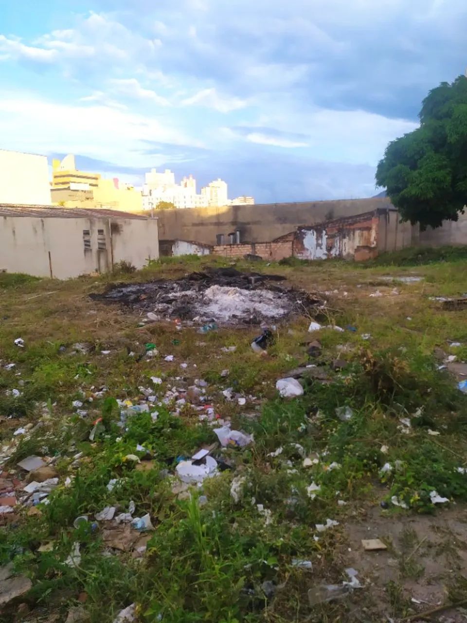 Terreno / Área Bairro Lagoinha - Foto 3