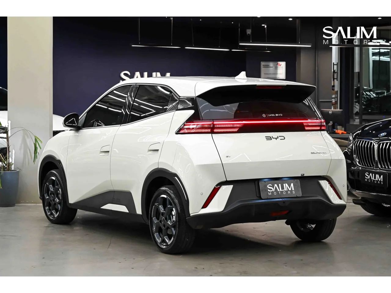 BYD Dolphin Mini (Elétrico) 2027 - Foto 4