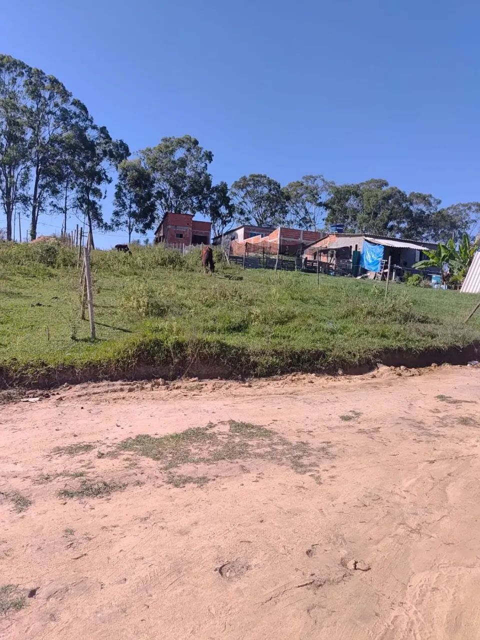 Vondo terreno  - Foto 3