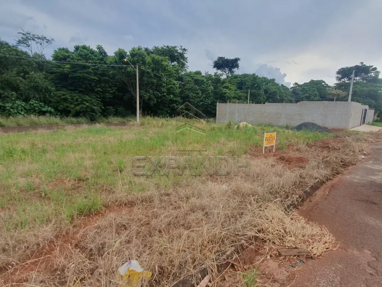 Terrenos Padrão em Dumont - Foto 3
