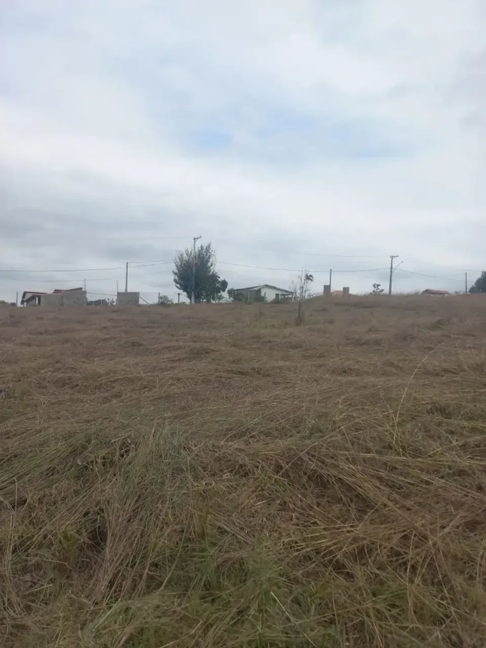 Terreno em Loteamento - Porangaba - SP - Foto 3
