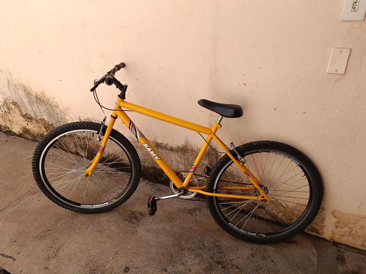 Bicicleta 