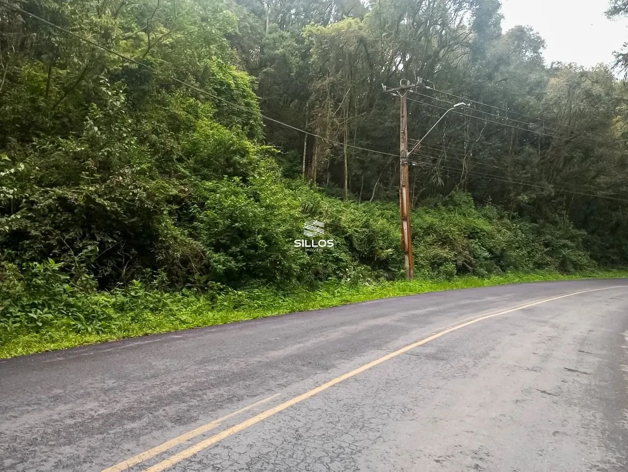 Terreno com 66.589 m² de área total à venda no bairro Ferraria em Campo Largo/PR - Foto 9