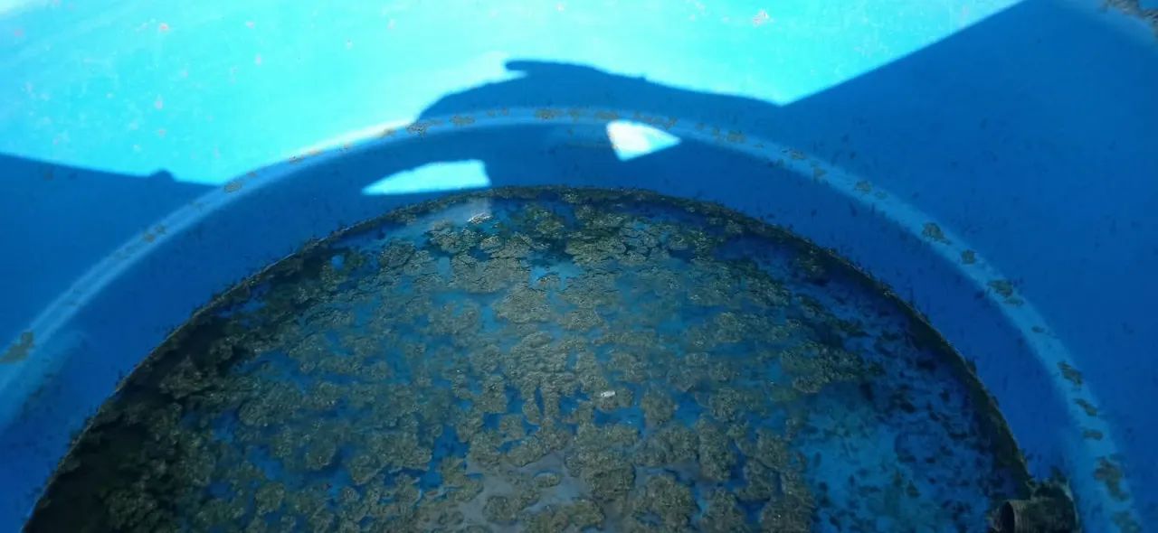 Limpeza de Cisternas e Caixa de água  - Foto 2