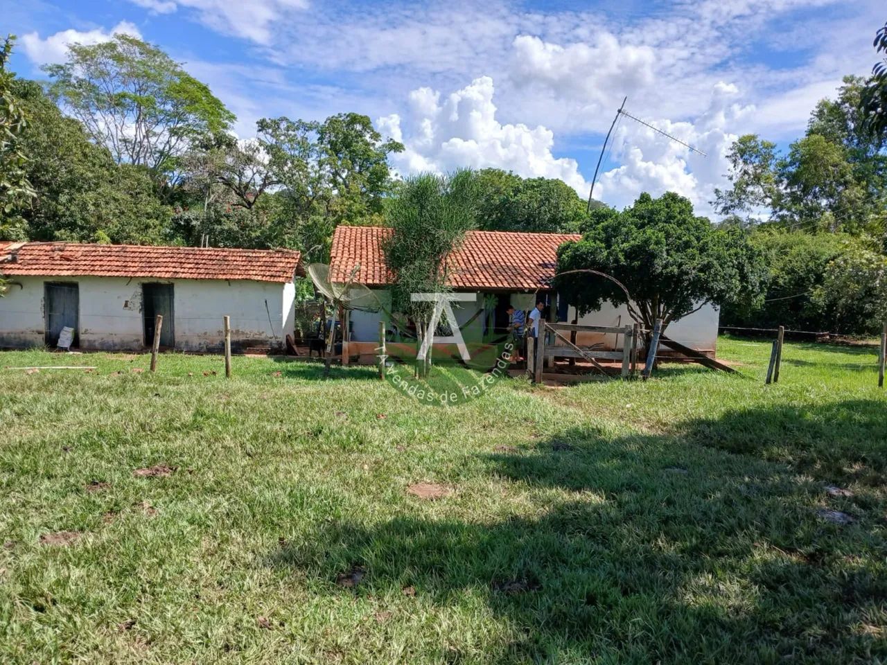 Fazenda em Trindade - GO - Foto 3