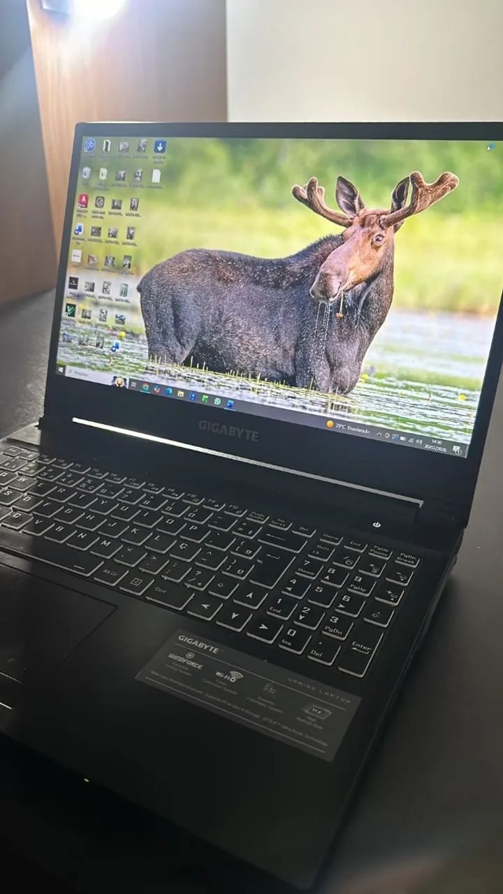 Notebook Gamer Gigabyte G5 MD