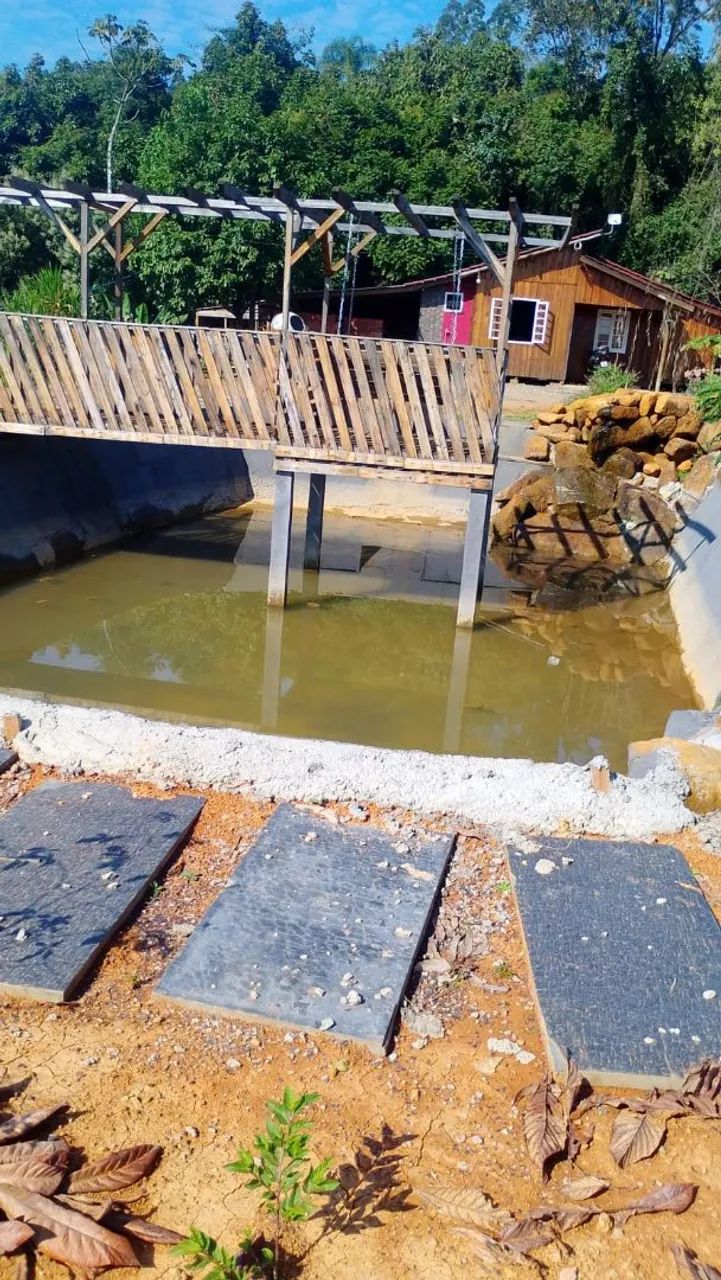 Vendo mini sitio em presidente Nereu  - Foto 3