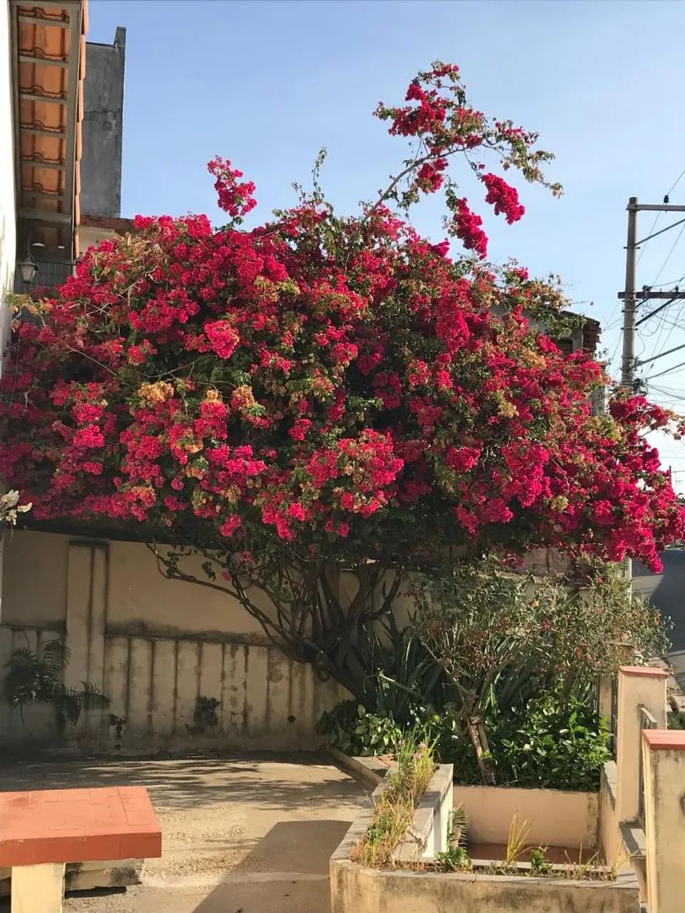 Ótima Oportunidade - Casa a Venda Perus