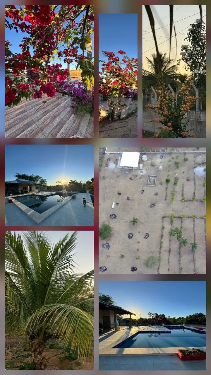 Sítio a venda em capim Grosso  - Foto 2