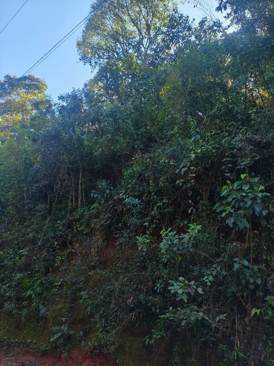 Terreno para sítio  - Foto 3