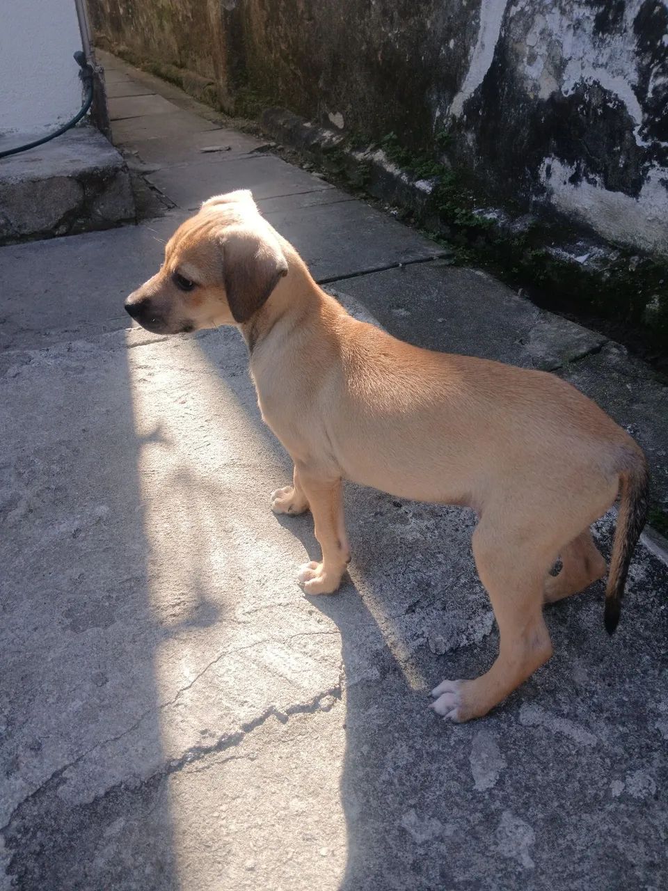 Doaçao - Foto 2