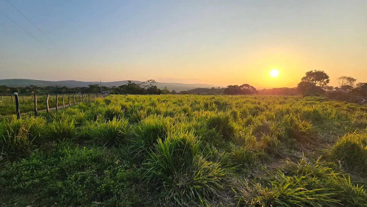 Vendo ou Troco Sítio Com 18.6 Tarefas em São Domingos  - Foto 5