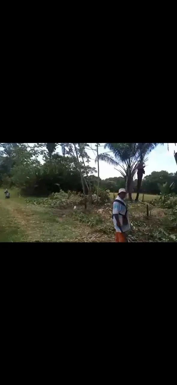 Terreno Abaetetuba - Ipixuna.  - Foto 3