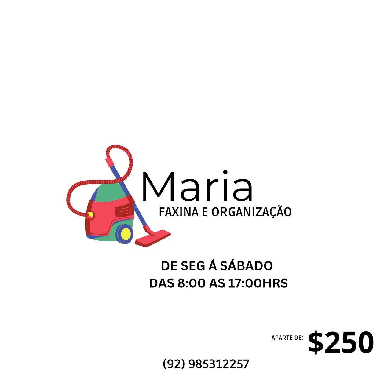 Faxina , diária aparte de $250