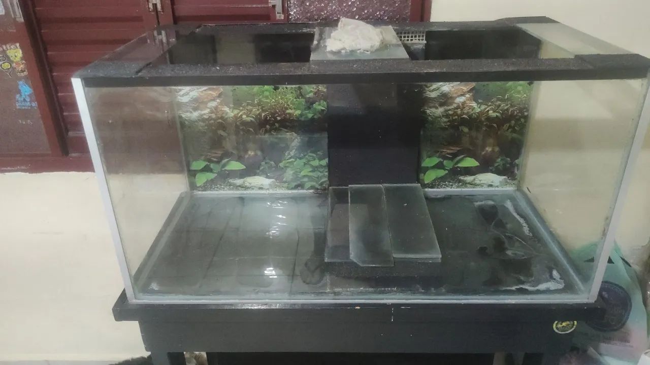 AQUÁRIO GRANDE COMPLETO COM ACESSÓRIOS  - Foto 2