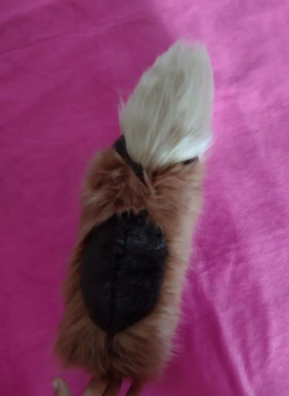 Fursuit - Foto 3