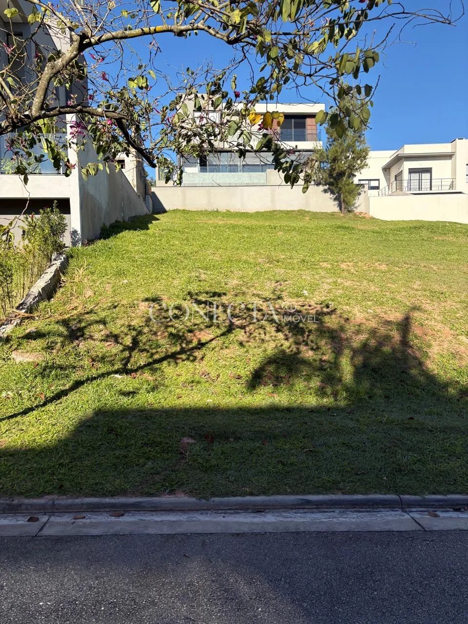 Burle Marx - Foto 5