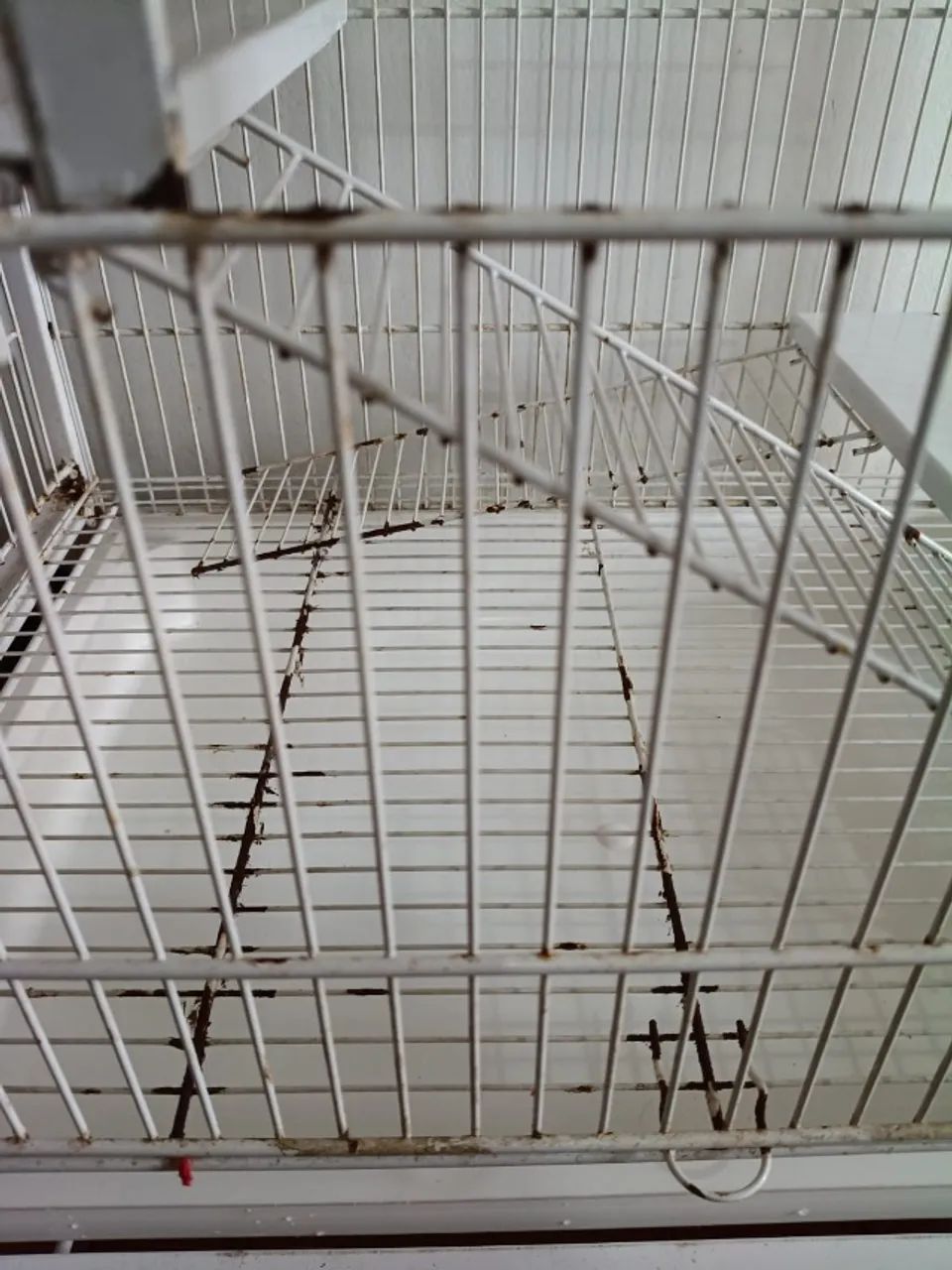 Gaiola para roedores64962660899074124