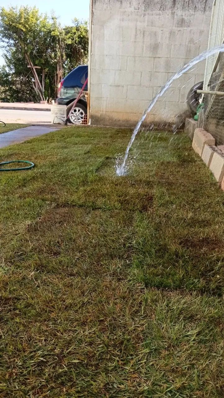 JARDINEIRO PROFISSIONAL  - Foto 4