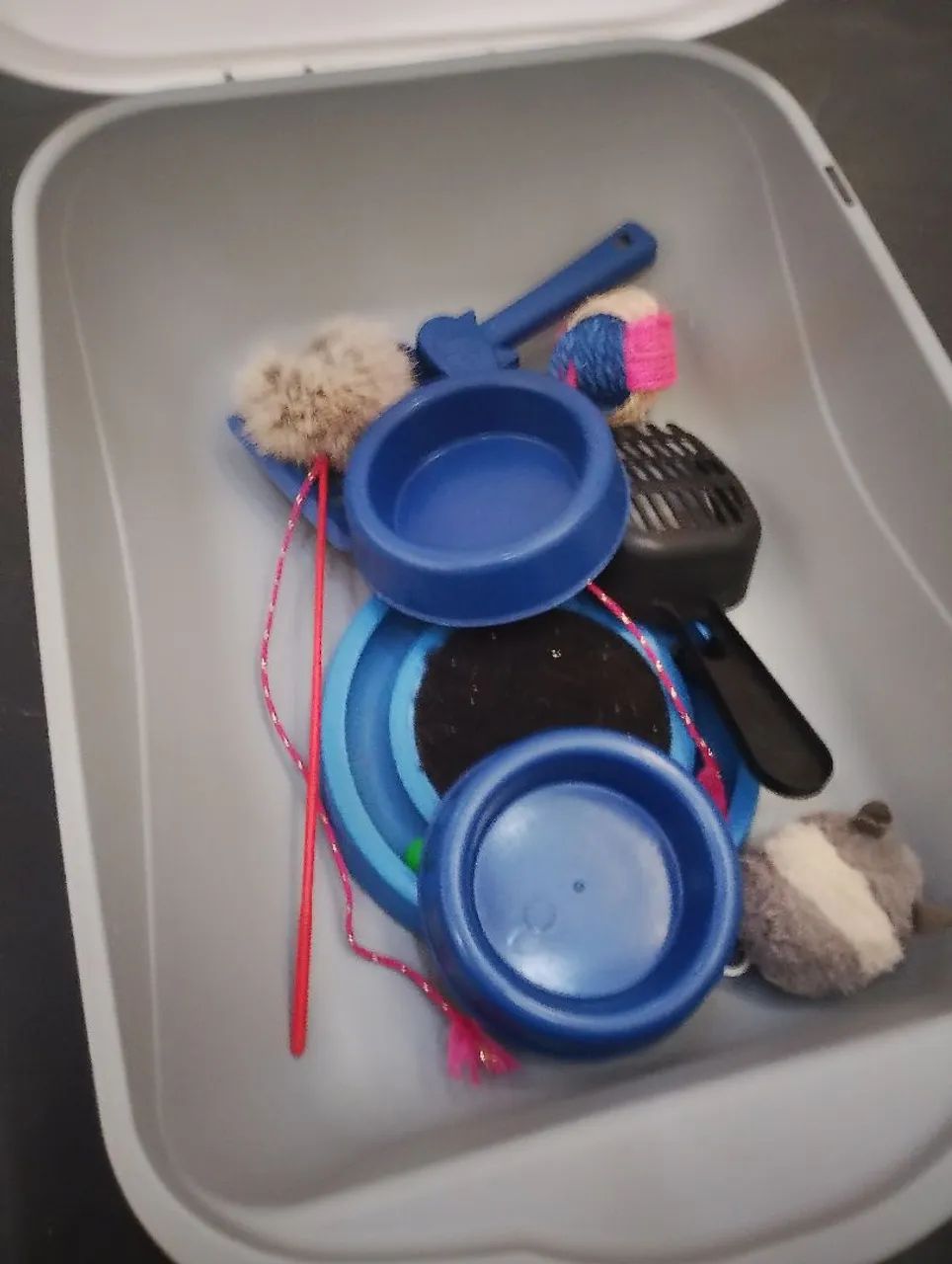 Kit para gatos  - Foto 4