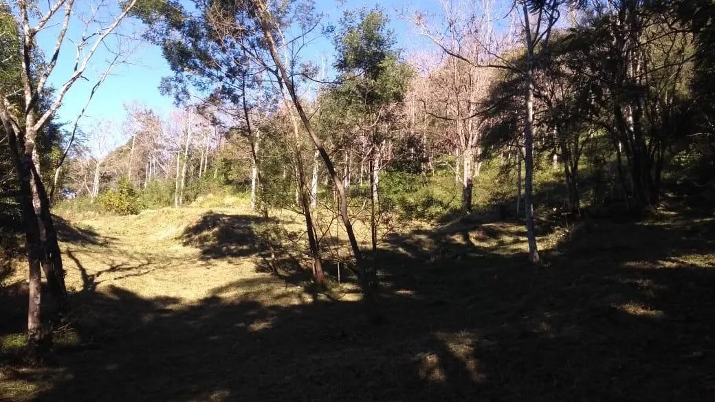 Chácara Galópolis Caxias do Sul - Foto 4