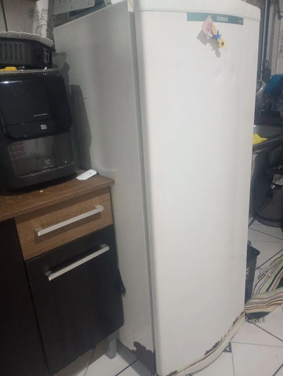 geladeira degelo seco 