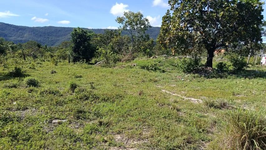 Terreno à venda em Teresina de Goiás - GO Chapada dos Veadeiros ? 450 m² - Foto 4