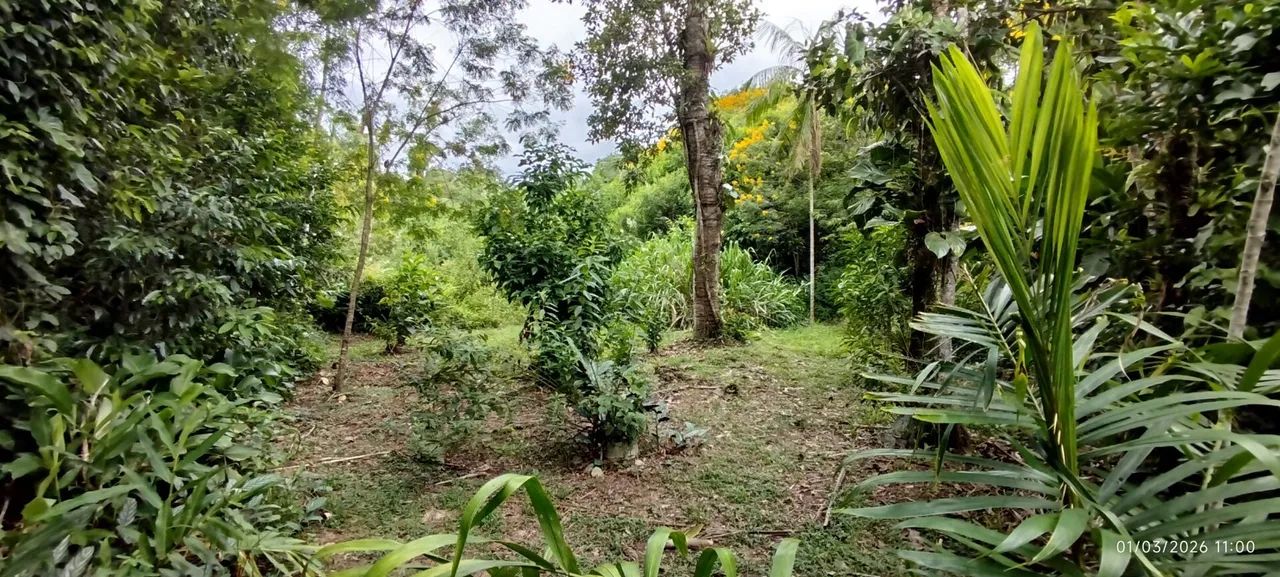Lotes a Venda em Morretes - Foto 2