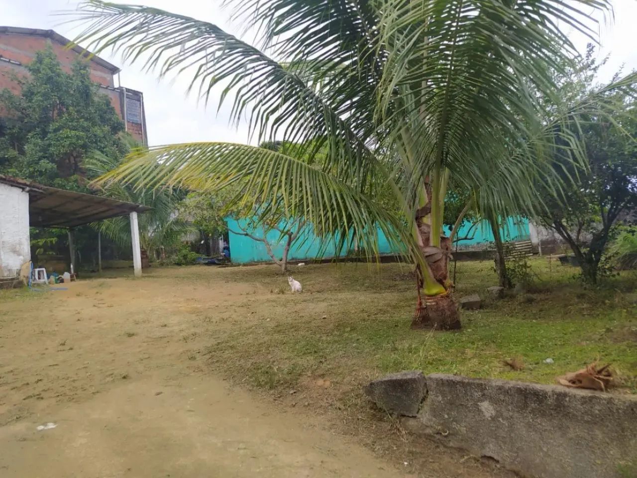 Casa Com 132m² De Área Construída, 600m² Área Total. Excelente Pará Comércio. - Foto 5