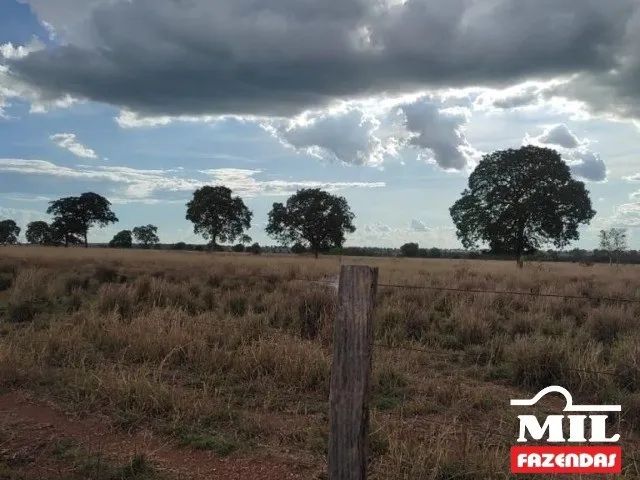 Arrendamento Agrícola em Nova Crixas-GO (726 Há) - Foto 5
