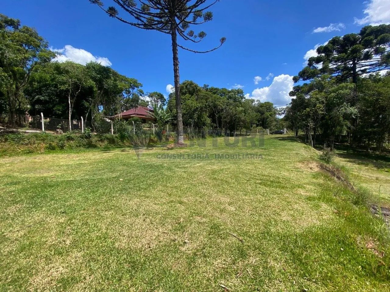 Lotes de terreno com 1.042m² - Estrada da Roseira - Foto 3