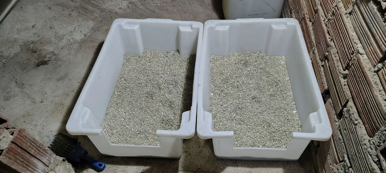 Caixa / banheiro / gatos 