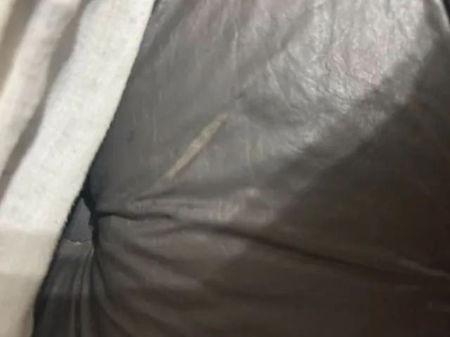 Maca Estética - Foto 5
