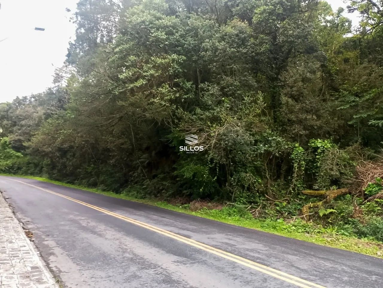 Terreno com 66.589 m² de área total à venda no bairro Ferraria em Campo Largo/PR - Foto 8