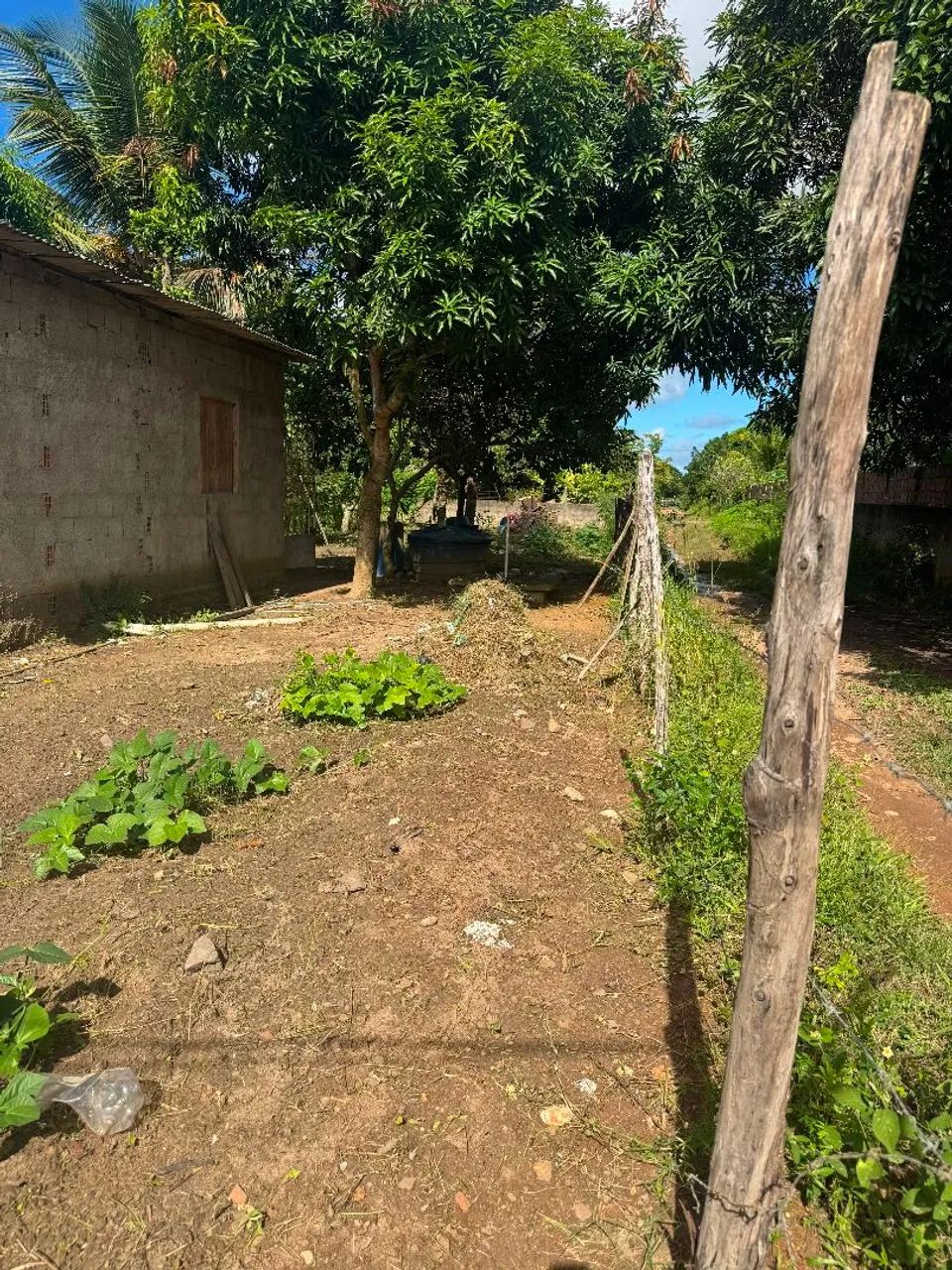 Sítio  - Foto 5