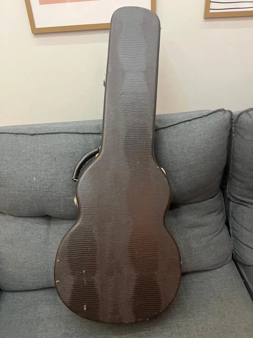 Viola Luciano Queiroz  - Foto 2