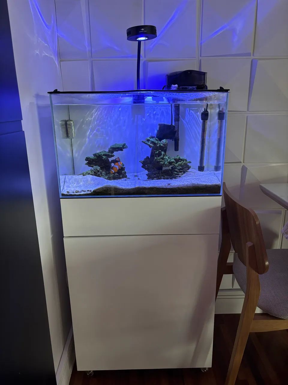 Aquário marinho completo - Foto 3