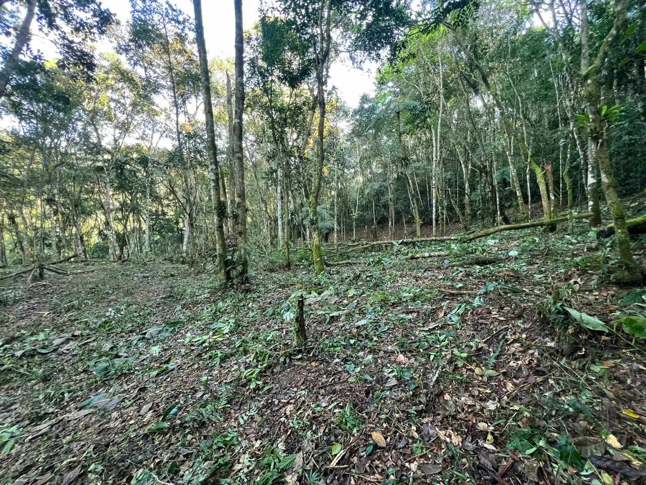 Terreno no interior de Teresópolis  - Foto 4