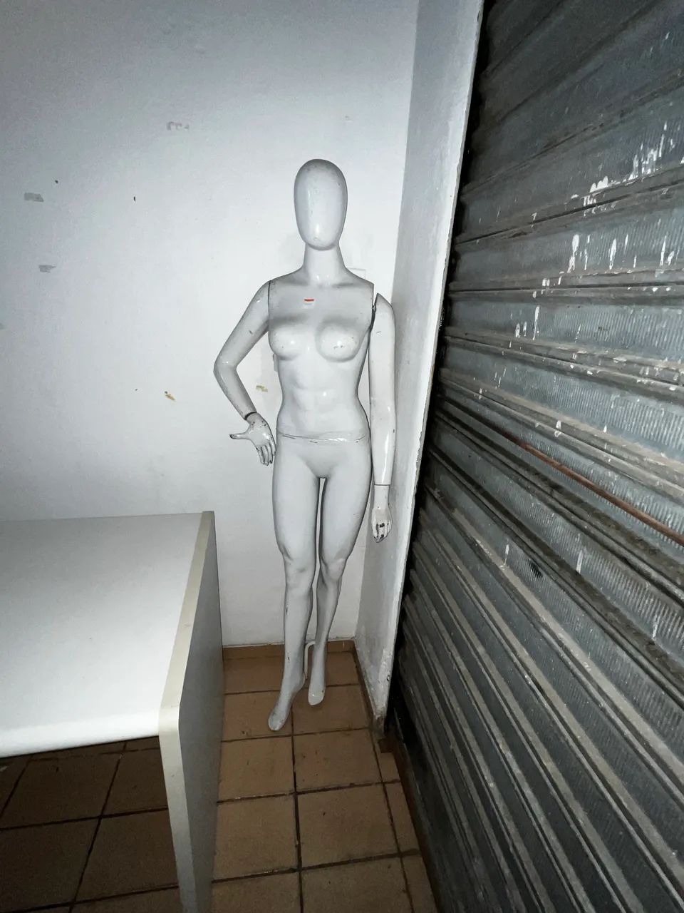 Itens de loja - Foto 4