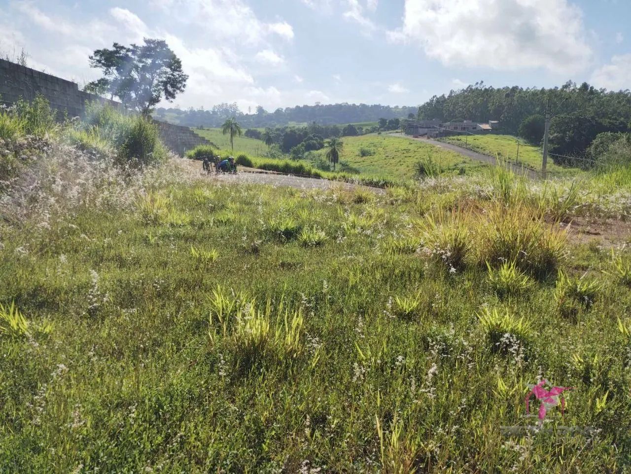 Terreno à venda - Rio Claro - Foto 5
