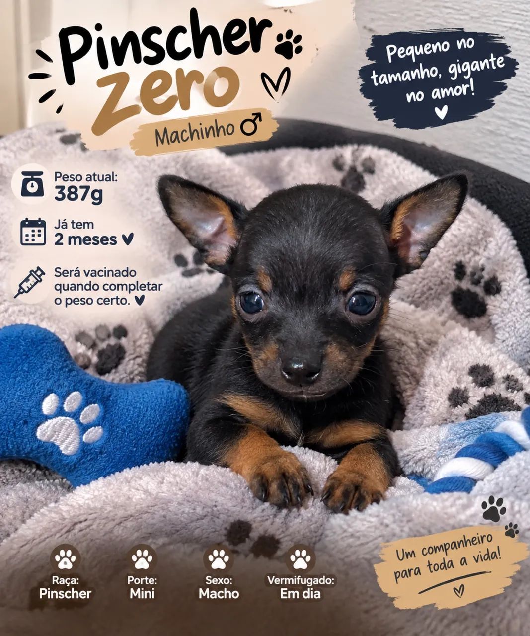 Pinscher zero