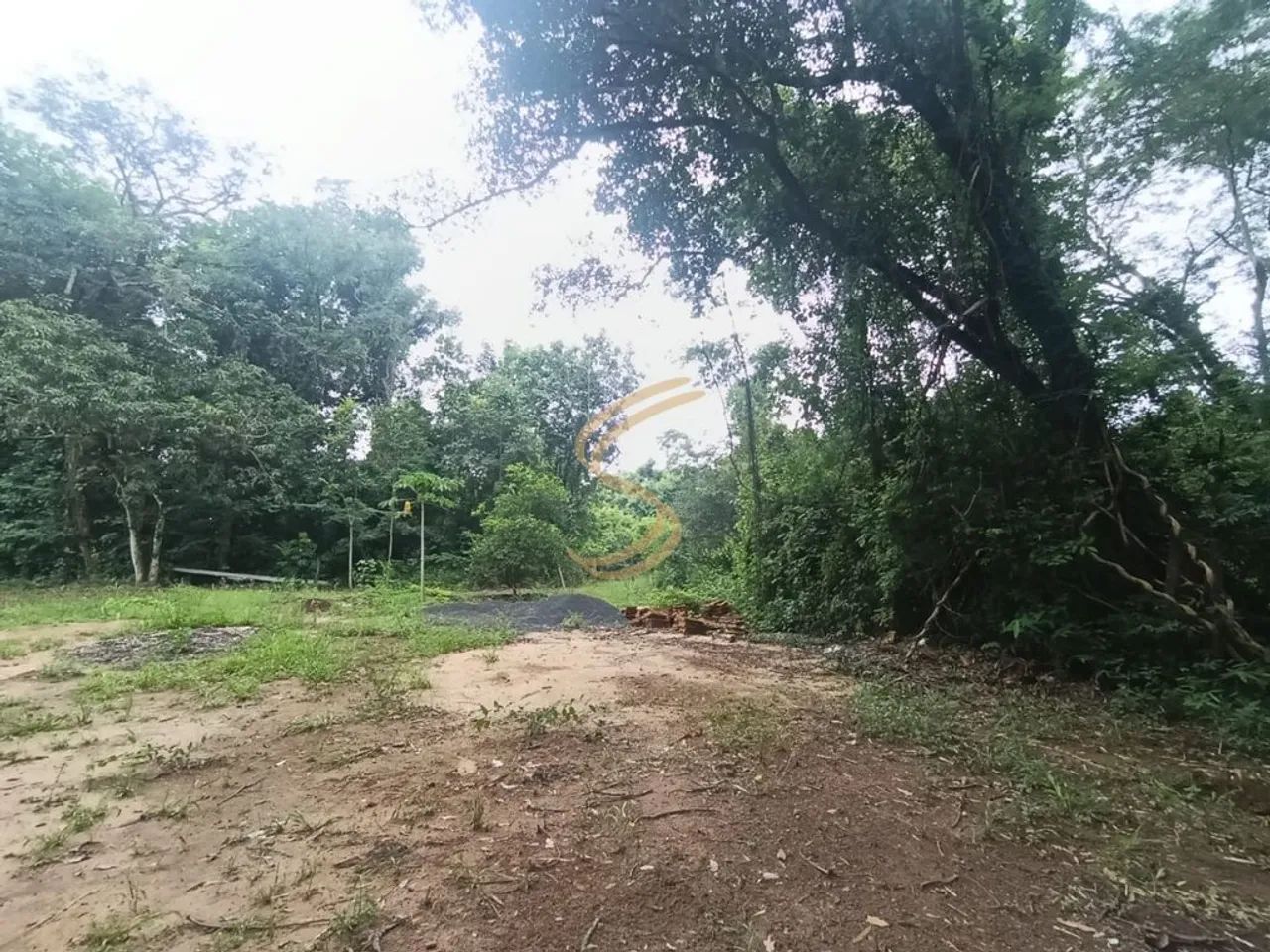 Oportunidade imperdível: sítio com alto potencial, próximo a Usina de Açucar - Foto 5