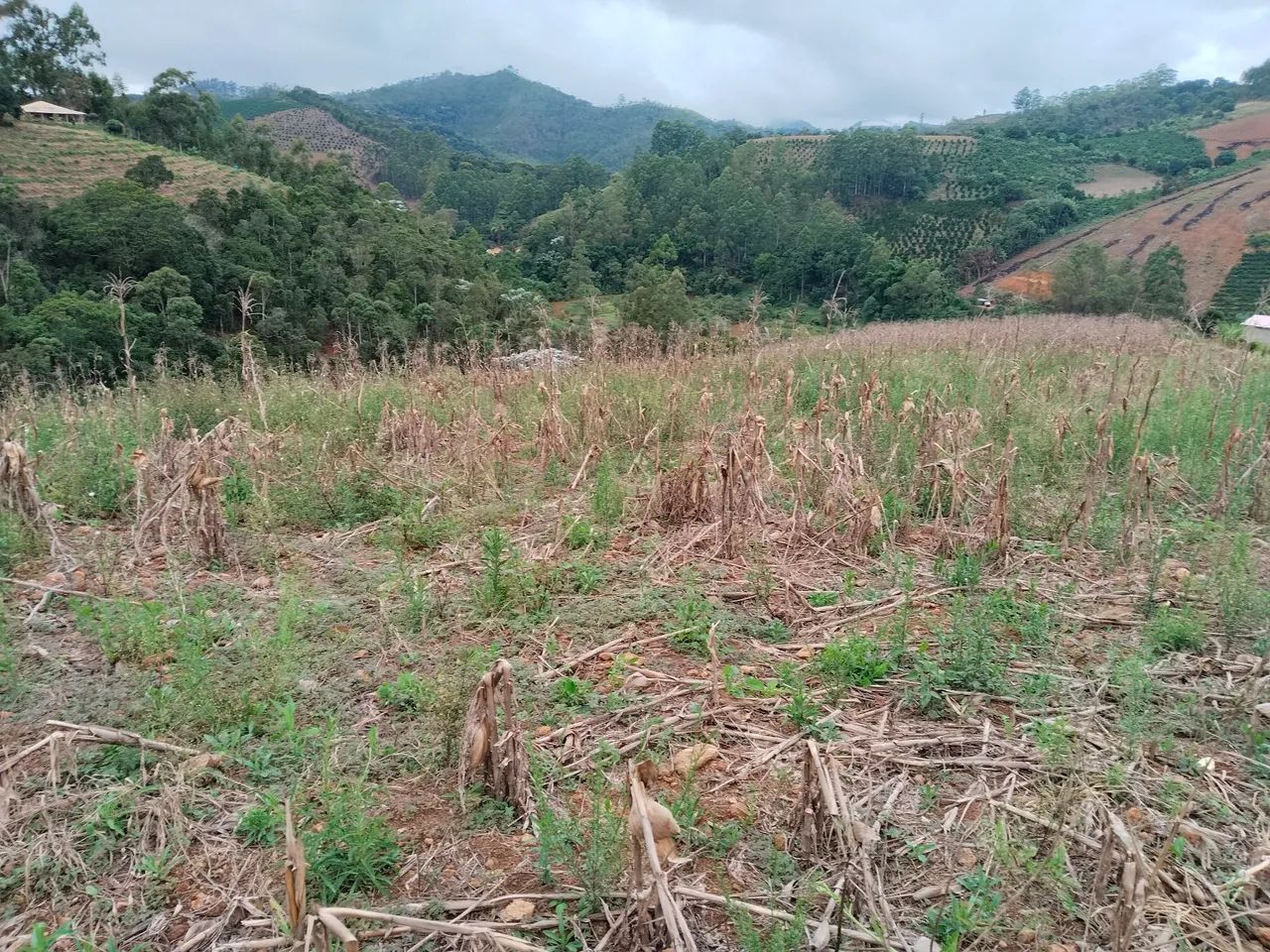 Terreno em Domingos Martins. - Foto 3