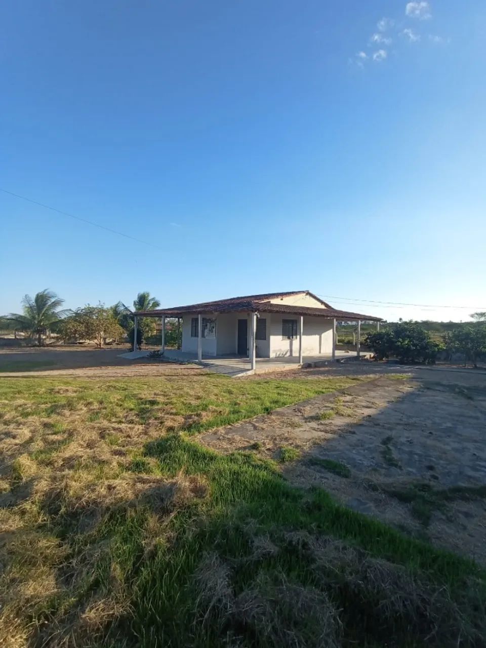 Vende-se Sítio no Povoado Tapera, na Cidade de Macambira/se( Mil metros próximo da cidade) - Foto 5