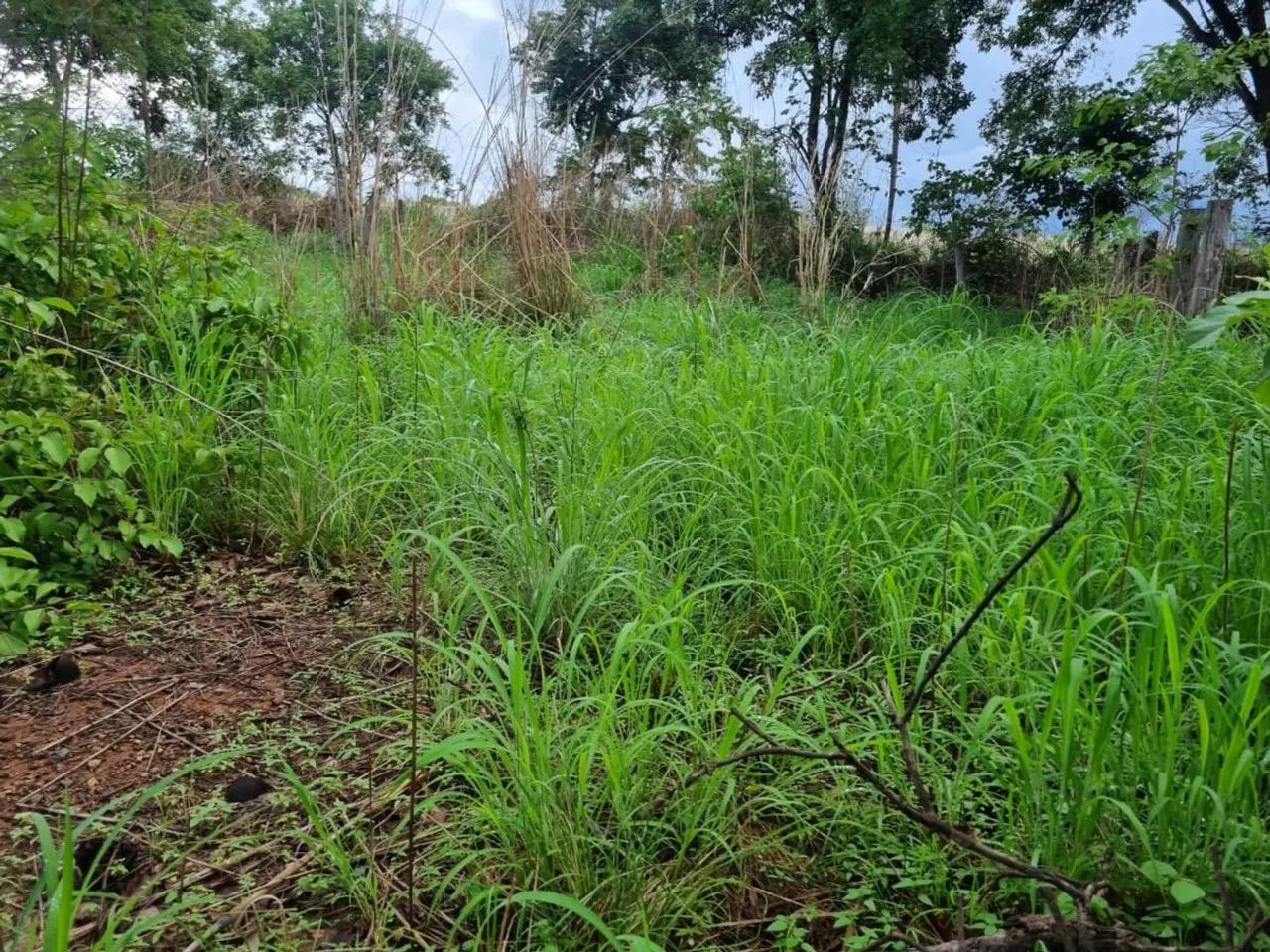 Fazenda para Venda em Aurora do Tocantins, Zona Rural