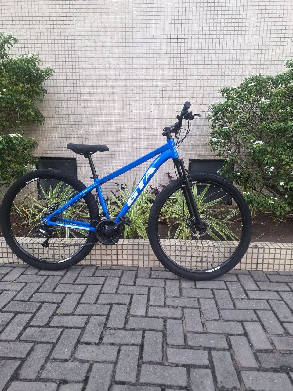 Bicicleta Aro 29 Lindissima 