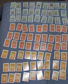  Jogo Explorando o Brasil da Grow - Foto 4