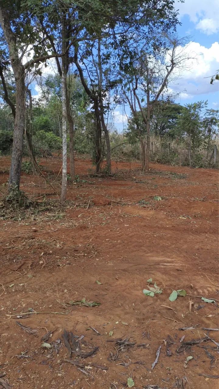 TERRENO SAÍDA LAGOA SANTA  - Foto 5