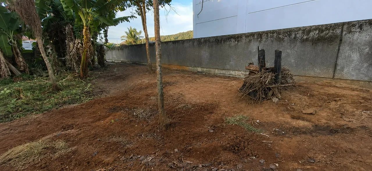 Terreno à venda no Campeche - Foto 3